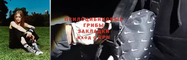 ECSTASY Абаза