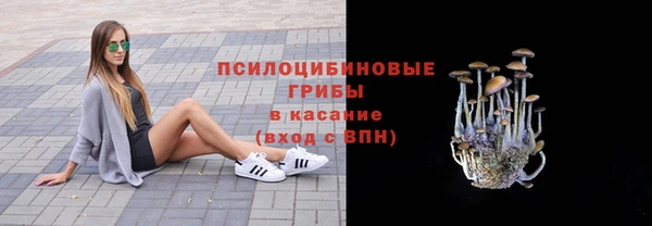 стафф Алексин
