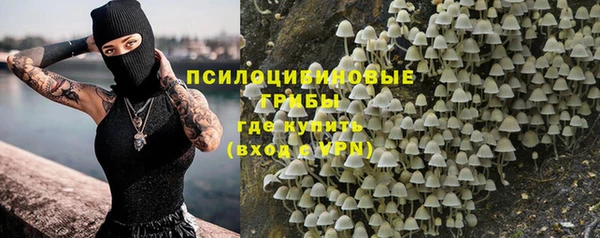 твердый Алзамай