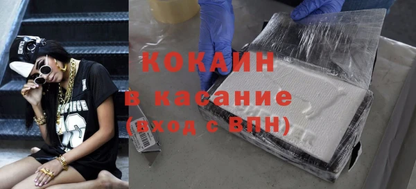 твердый Алзамай